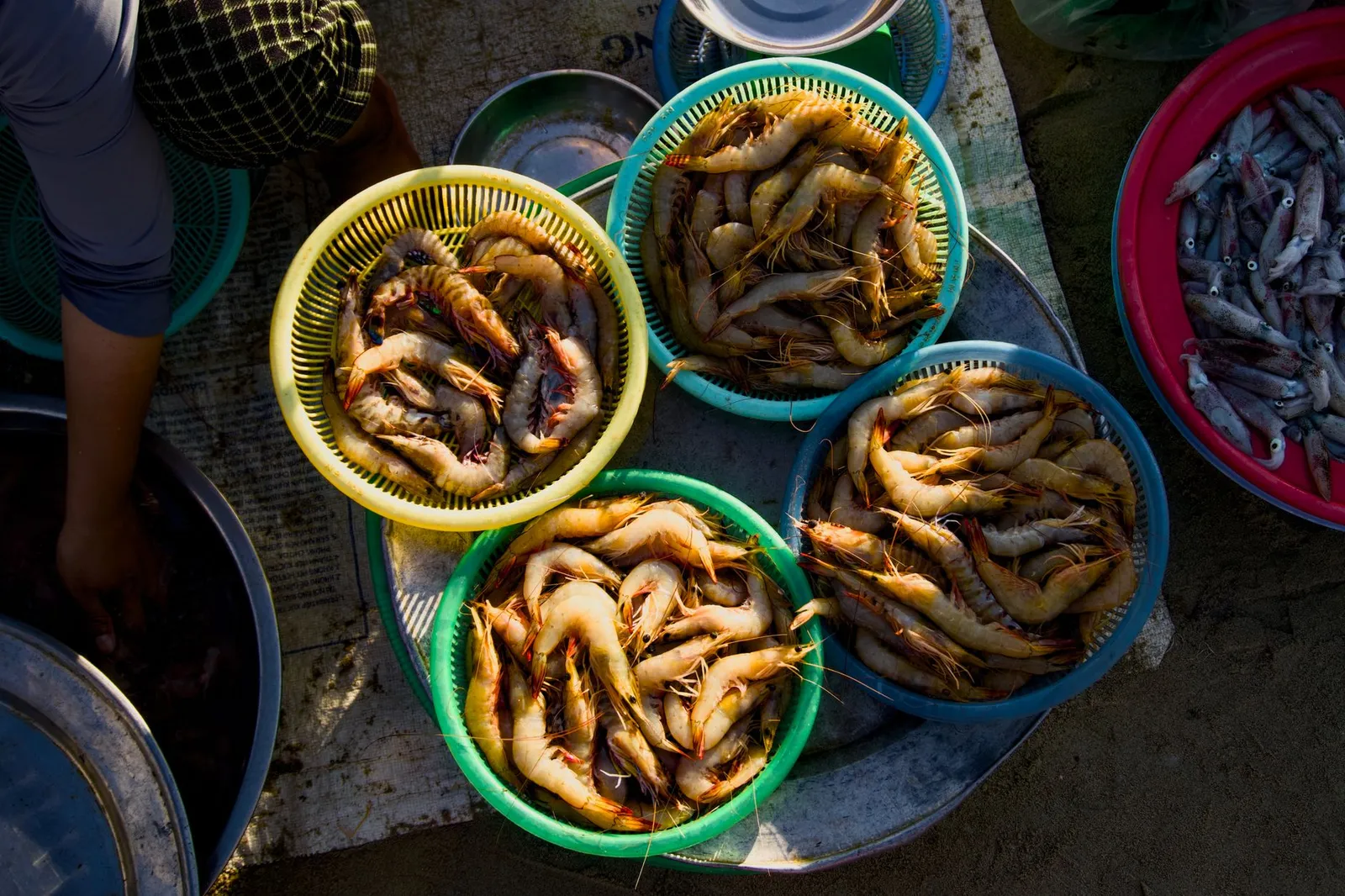 Kivukoni Fish Market — photograph 6