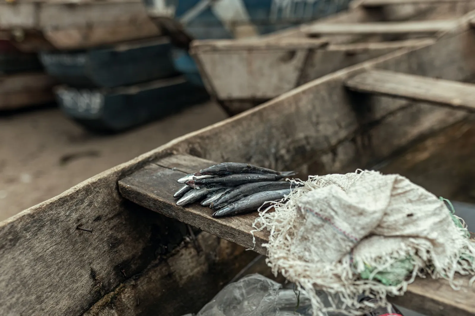 Kivukoni Fish Market — photograph 10