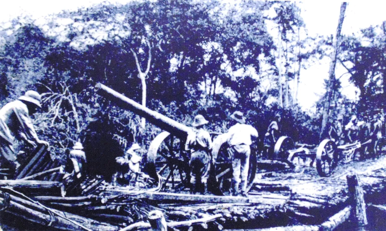 National Museum of Tanzania — photograph 10
