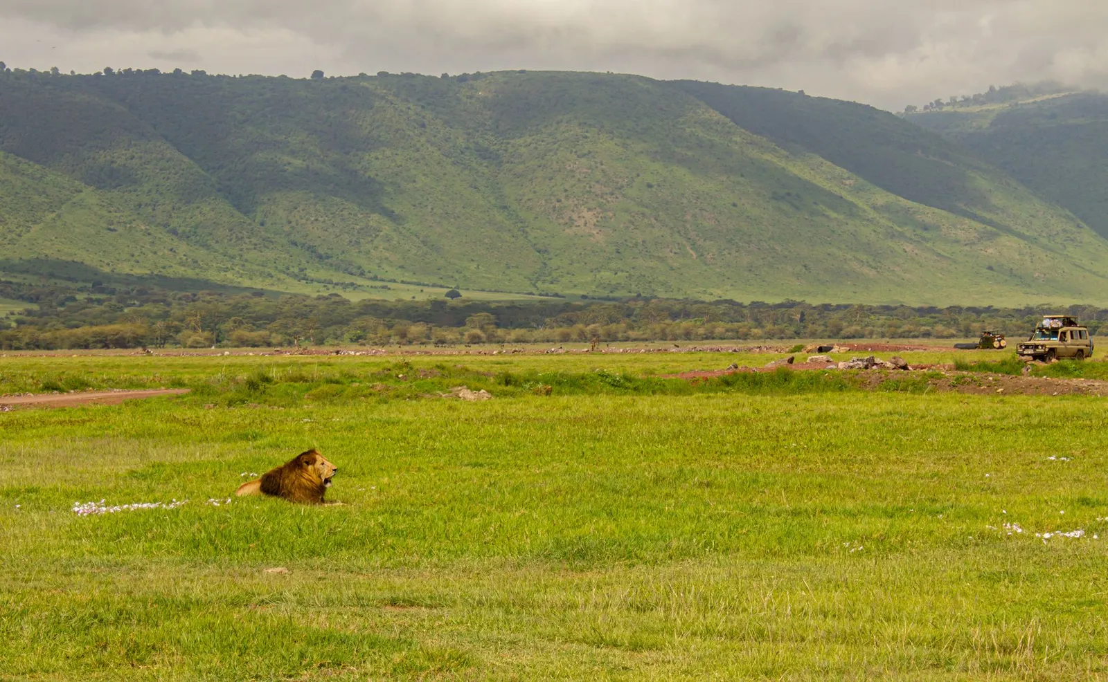 Ngorongoro Crater — photograph 6