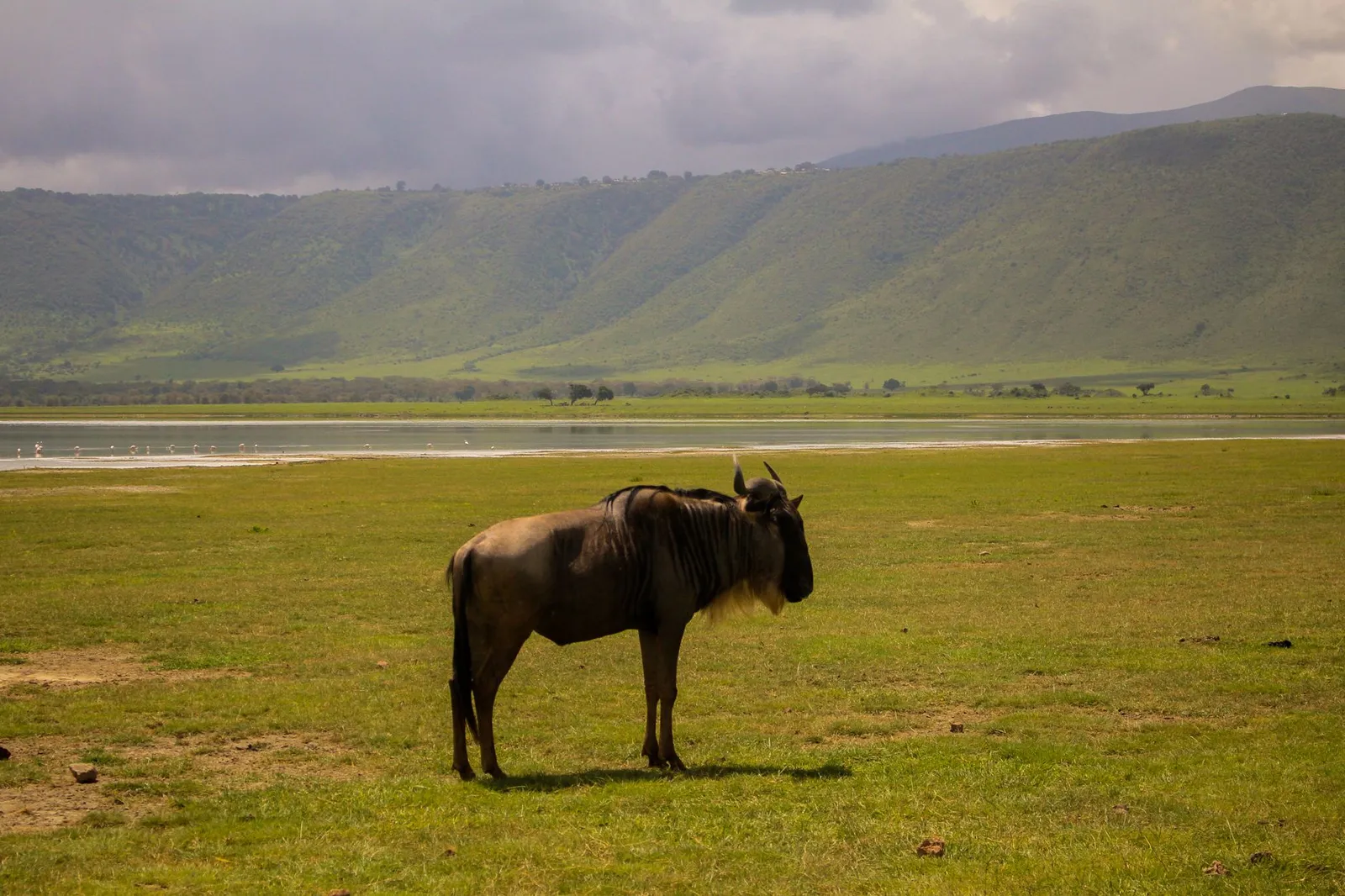 Ngorongoro Crater — photograph 8