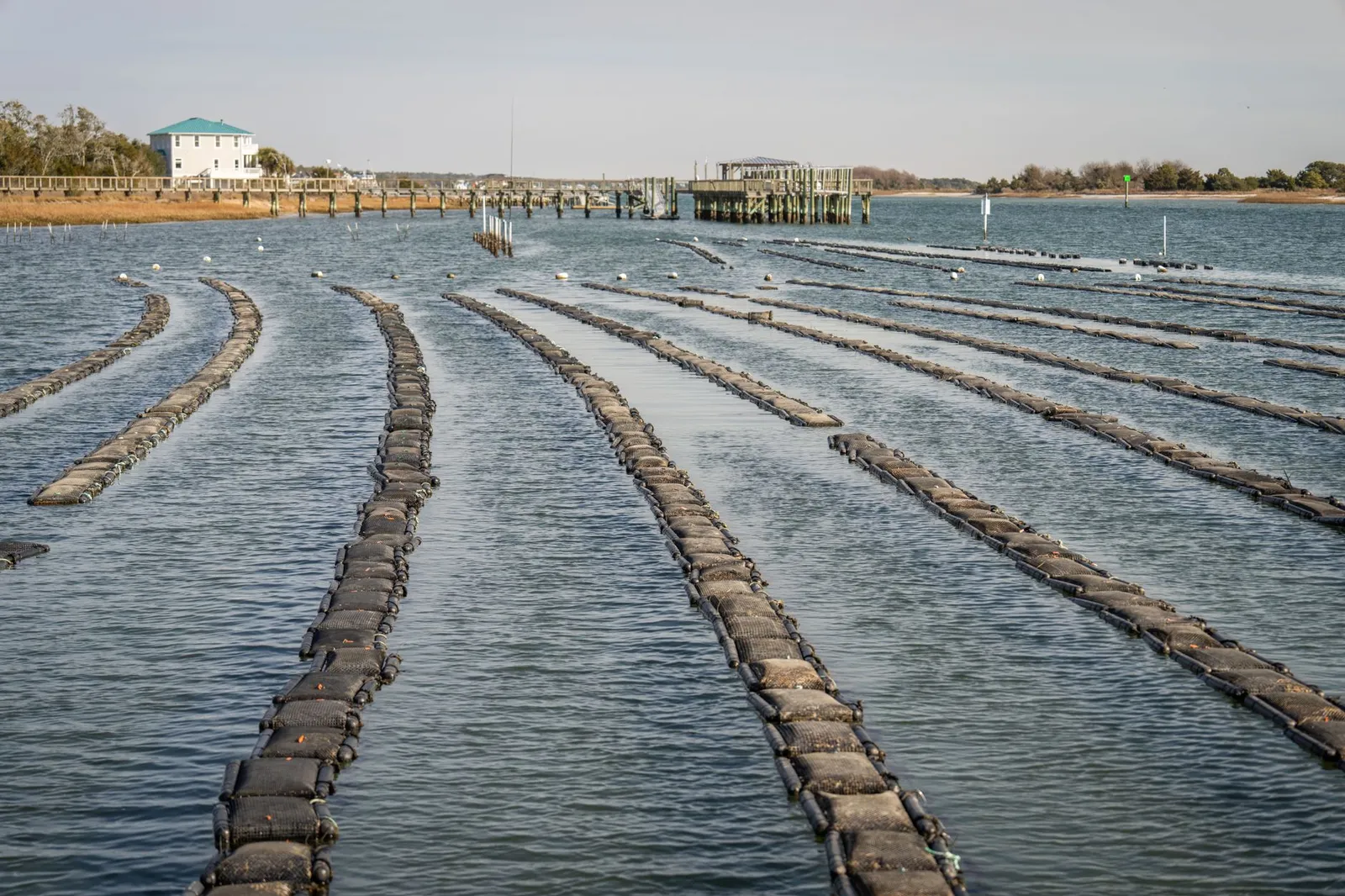 Oyster Bay — photograph 2