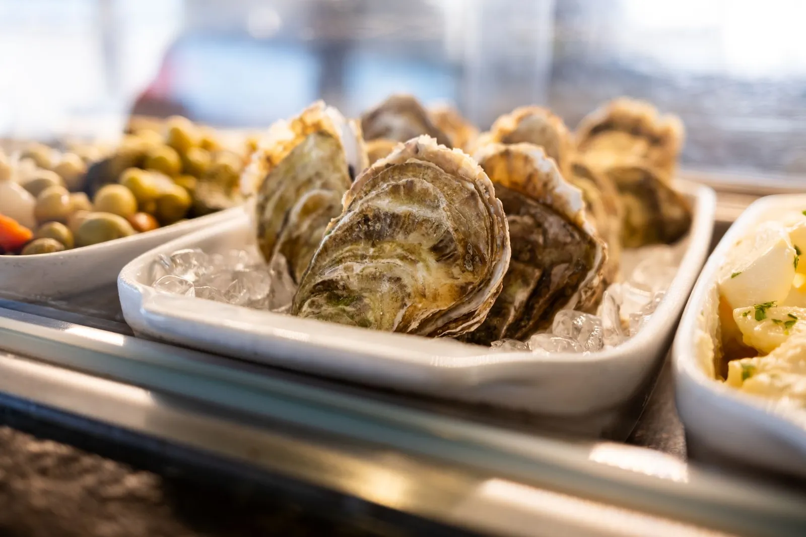 Oyster Bay — photograph 3