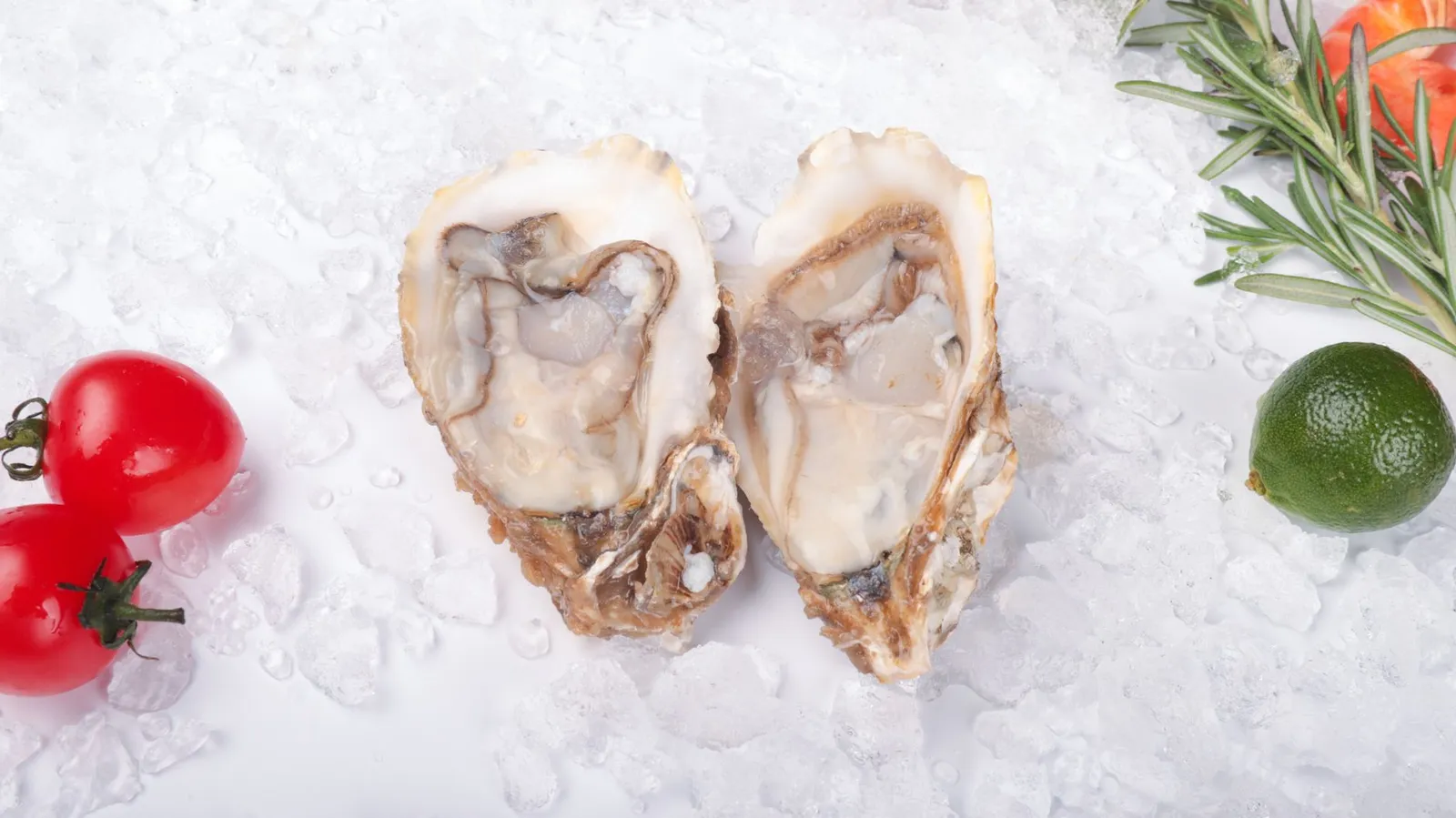Oyster Bay — photograph 7