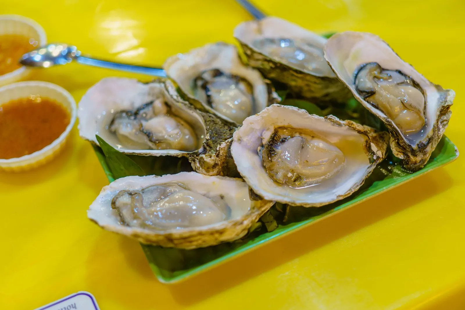 Oyster Bay — photograph 8