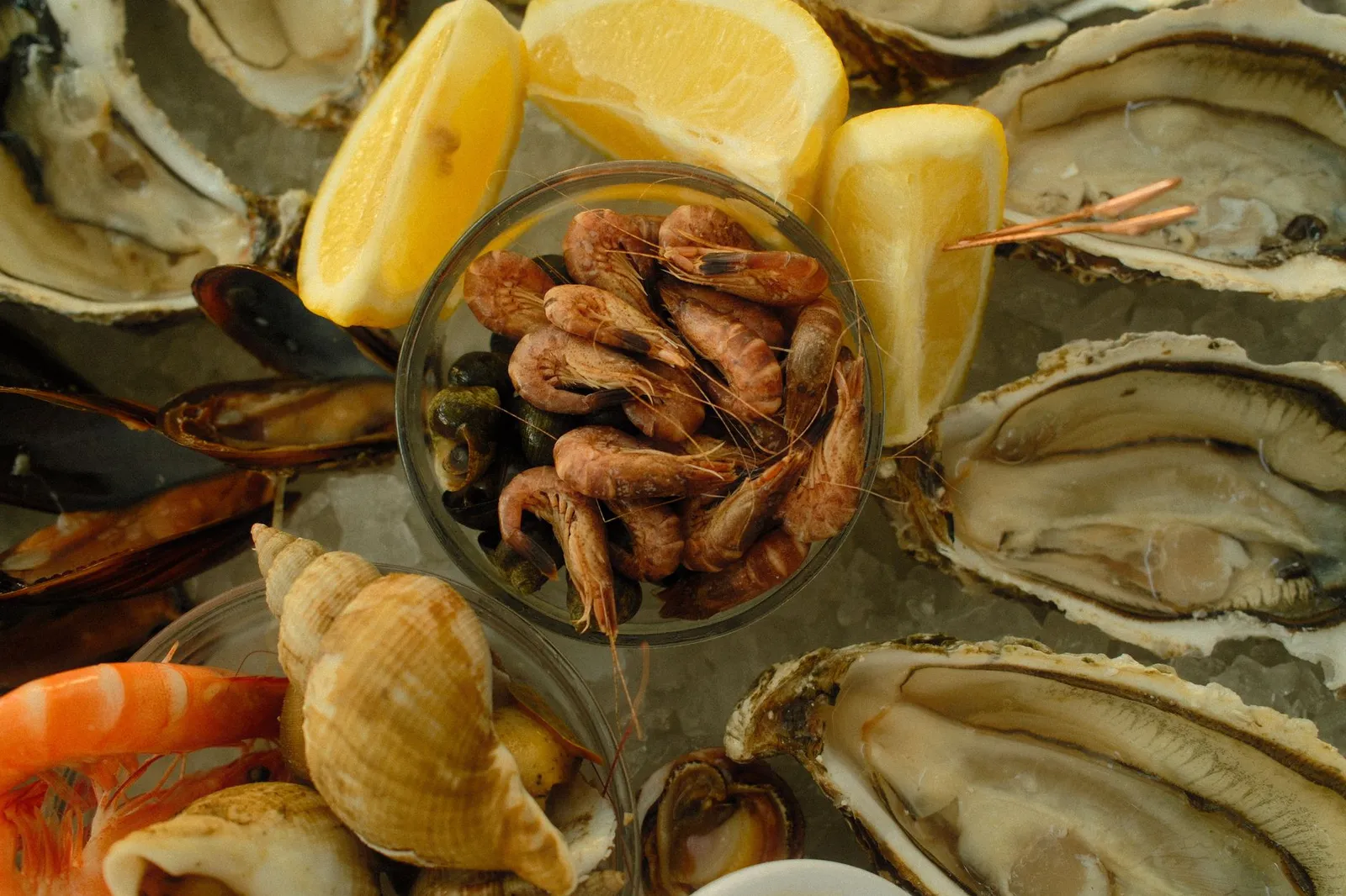 Oyster Bay — photograph 9