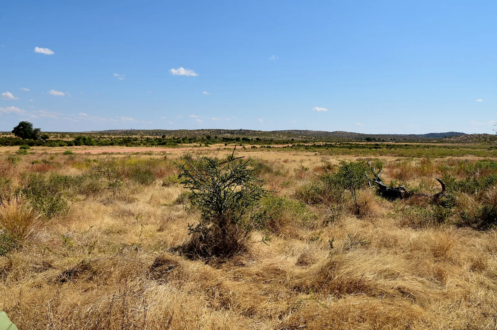 Ruaha National Park — photograph 2
