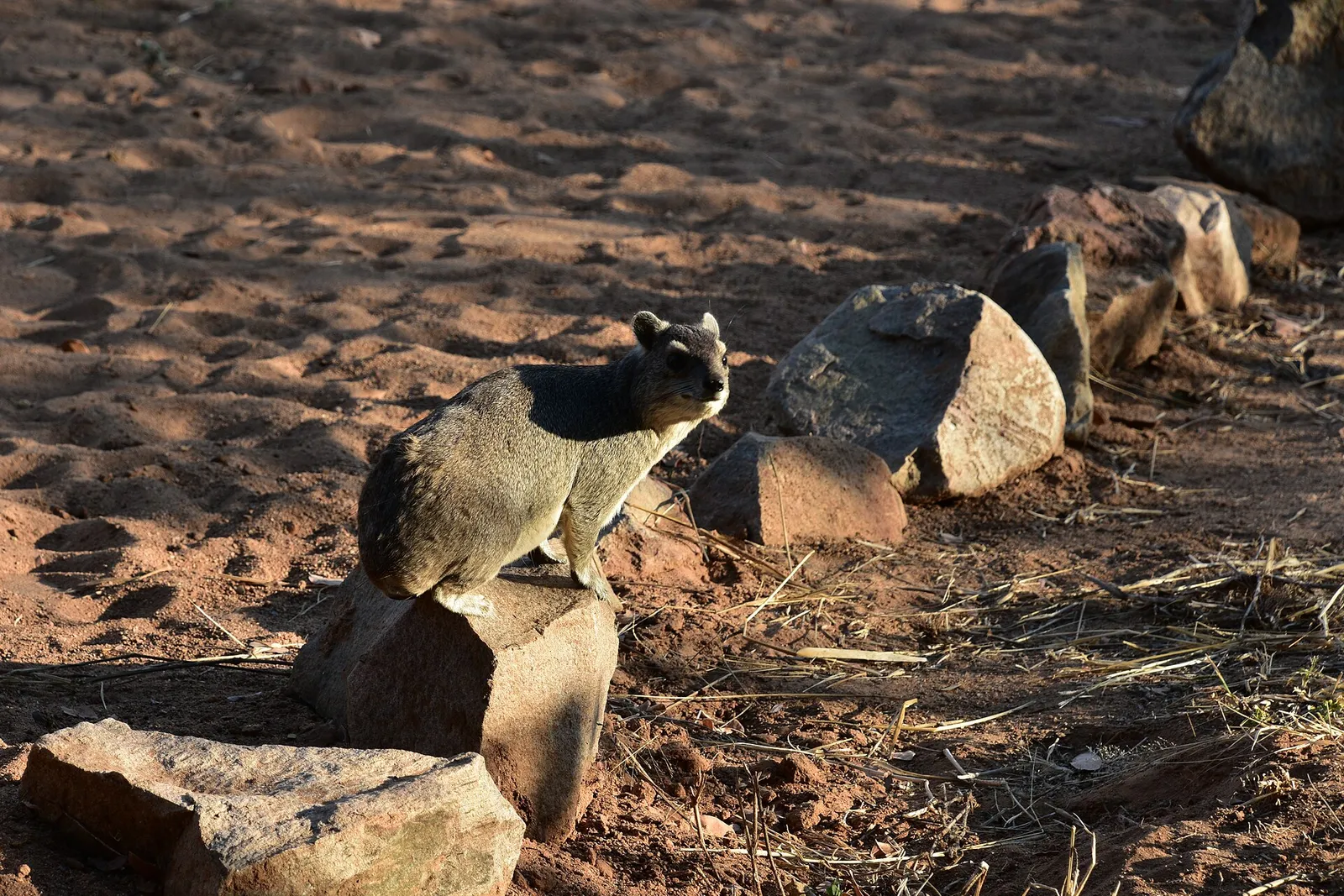 Ruaha National Park — photograph 3