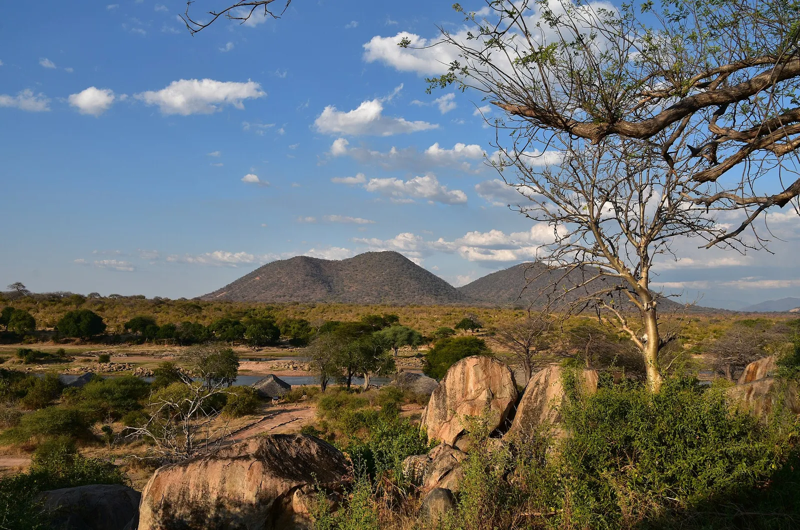 Ruaha National Park — photograph 5