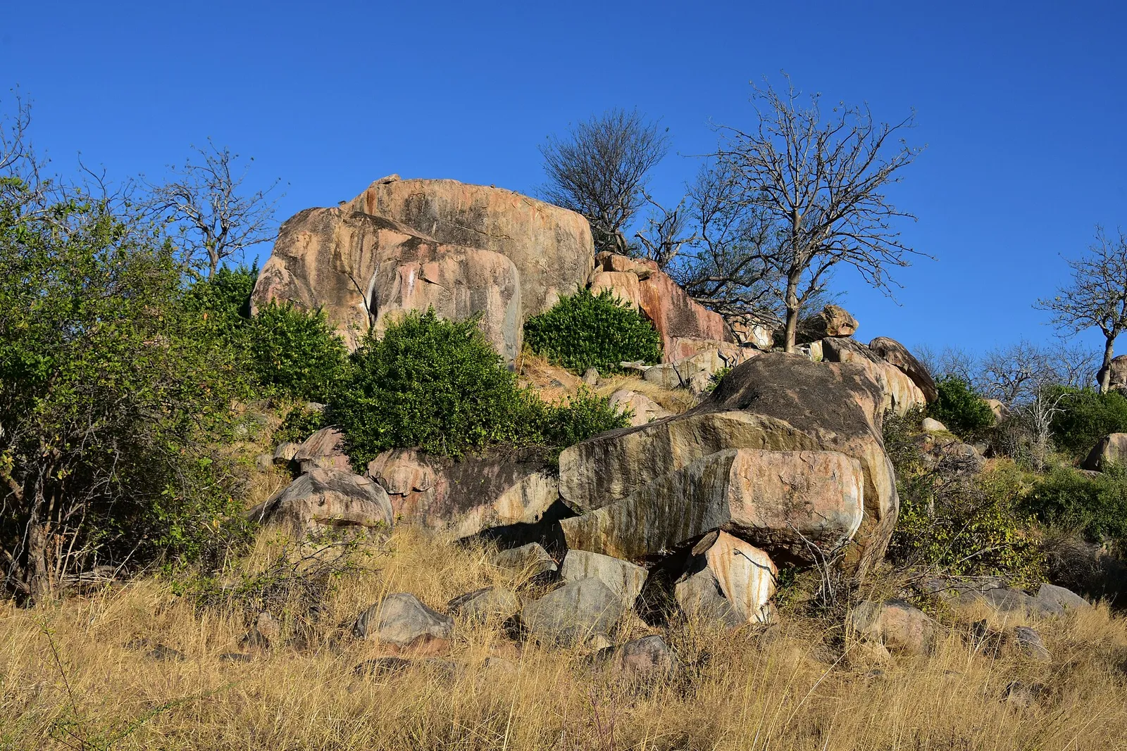 Ruaha National Park — photograph 8