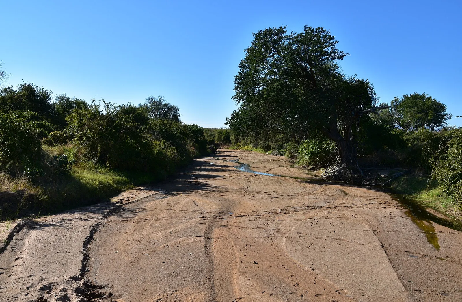 Ruaha National Park — photograph 9