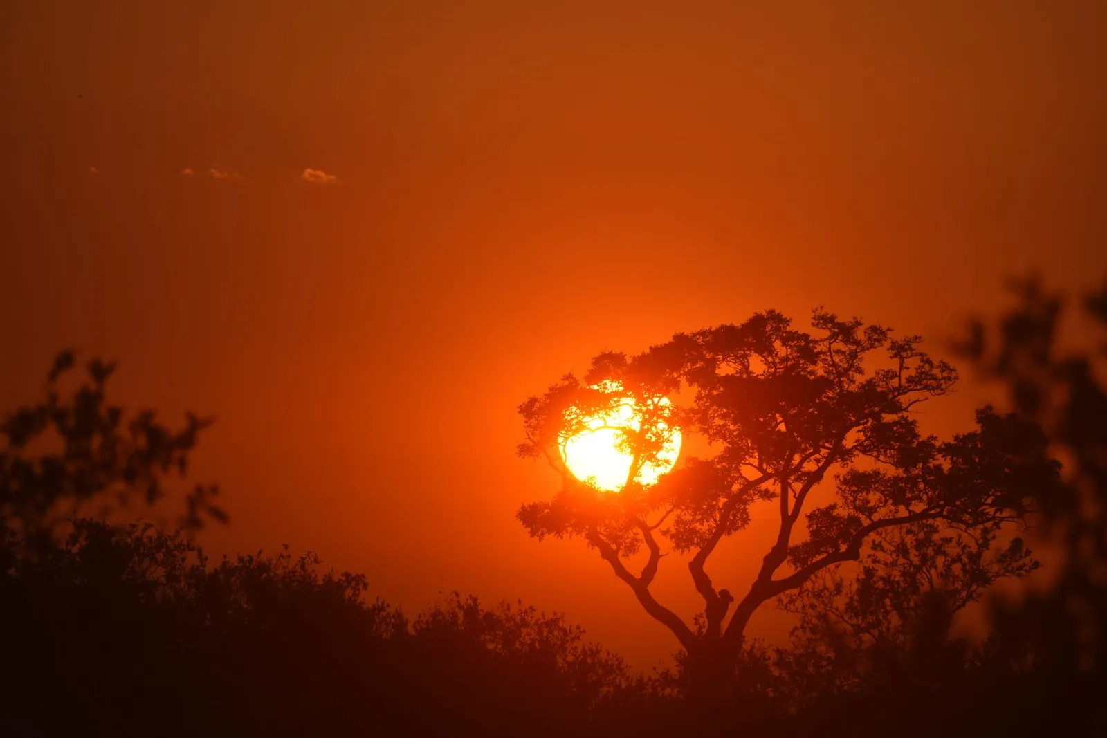 Ruaha National Park — photograph 11