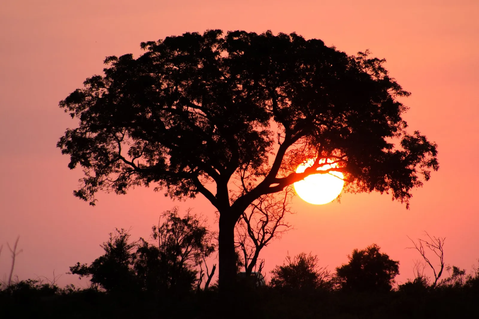 Ruaha National Park — photograph 12