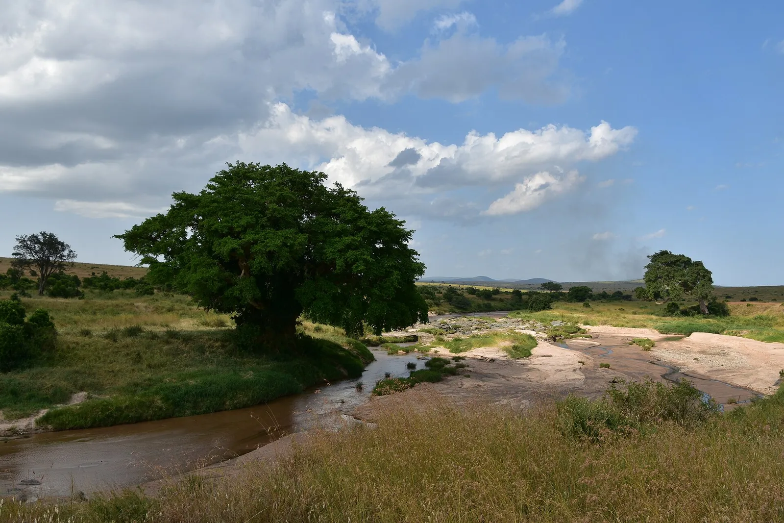 Serengeti National Park — photograph 2
