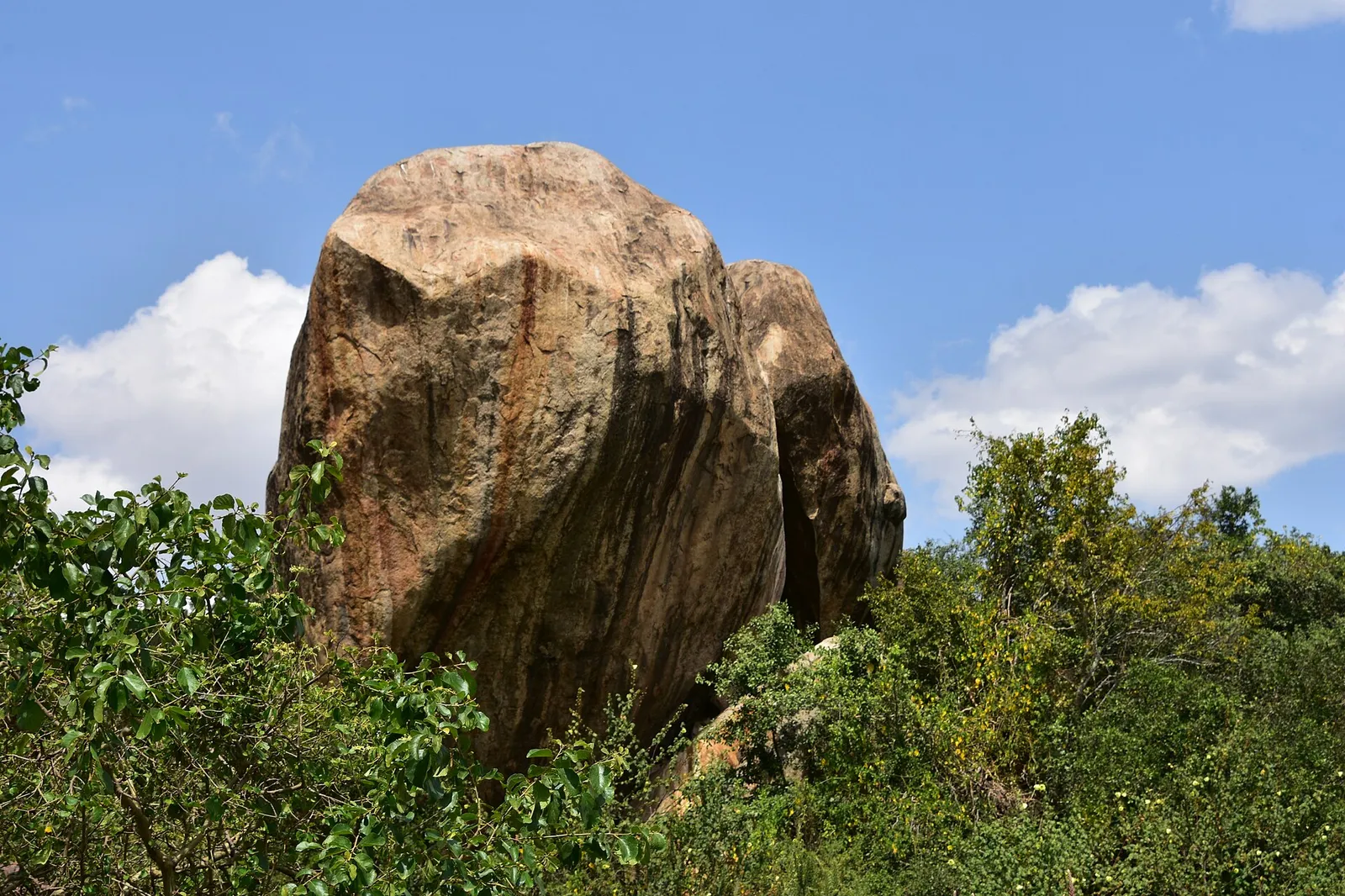 Serengeti National Park — photograph 6