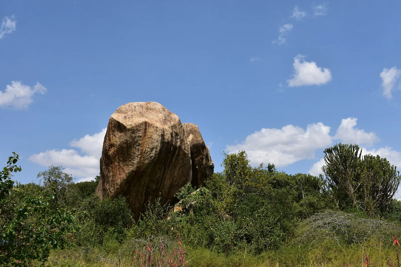 Serengeti National Park — photograph 7