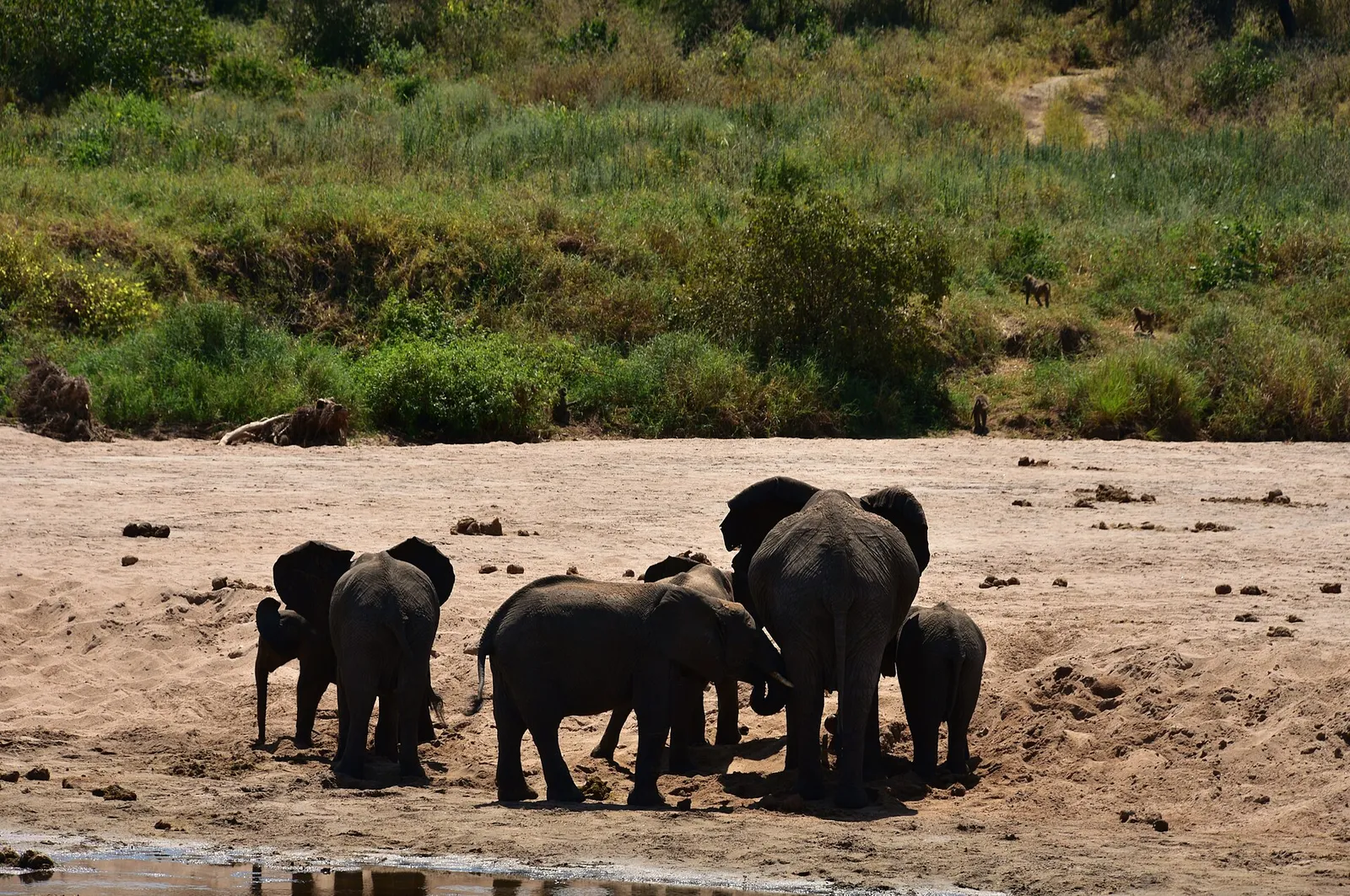 Tarangire National Park