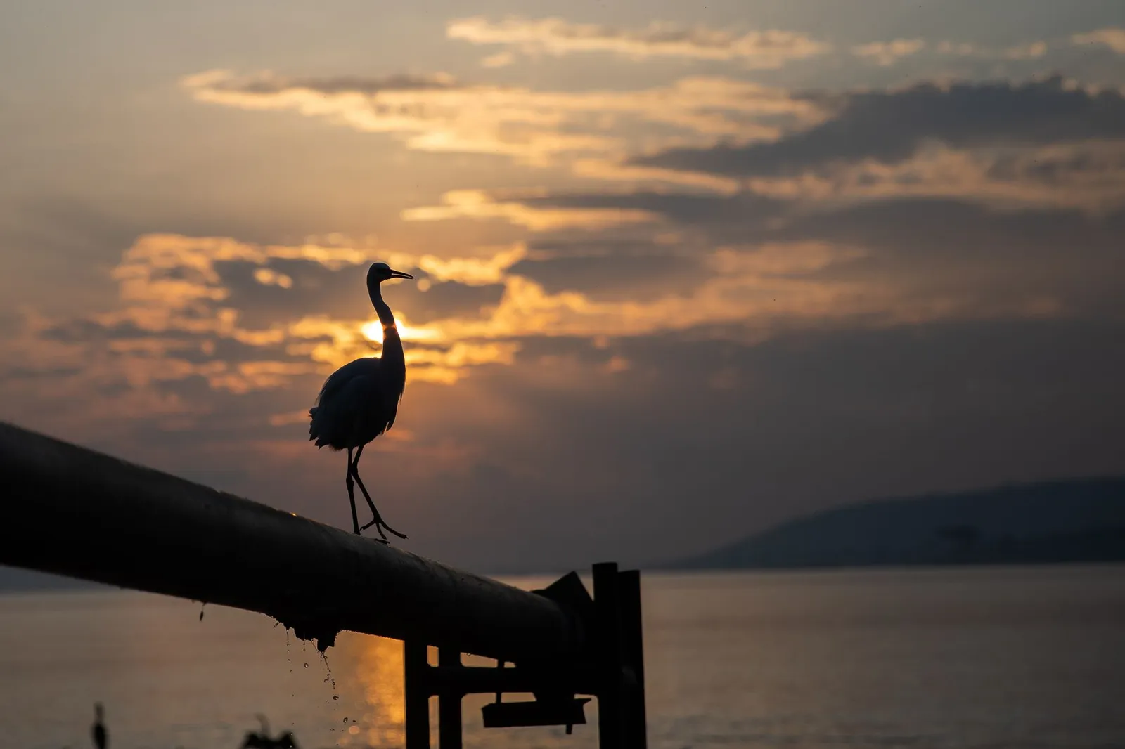 Jinja & the Source of the Nile — photograph 11