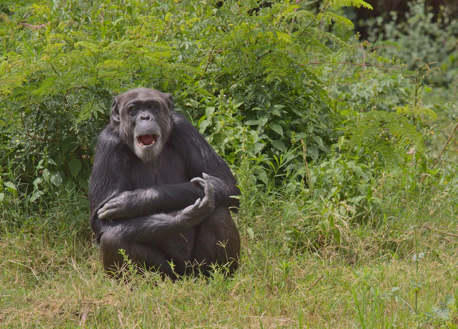 Kibale National Park — photograph 10