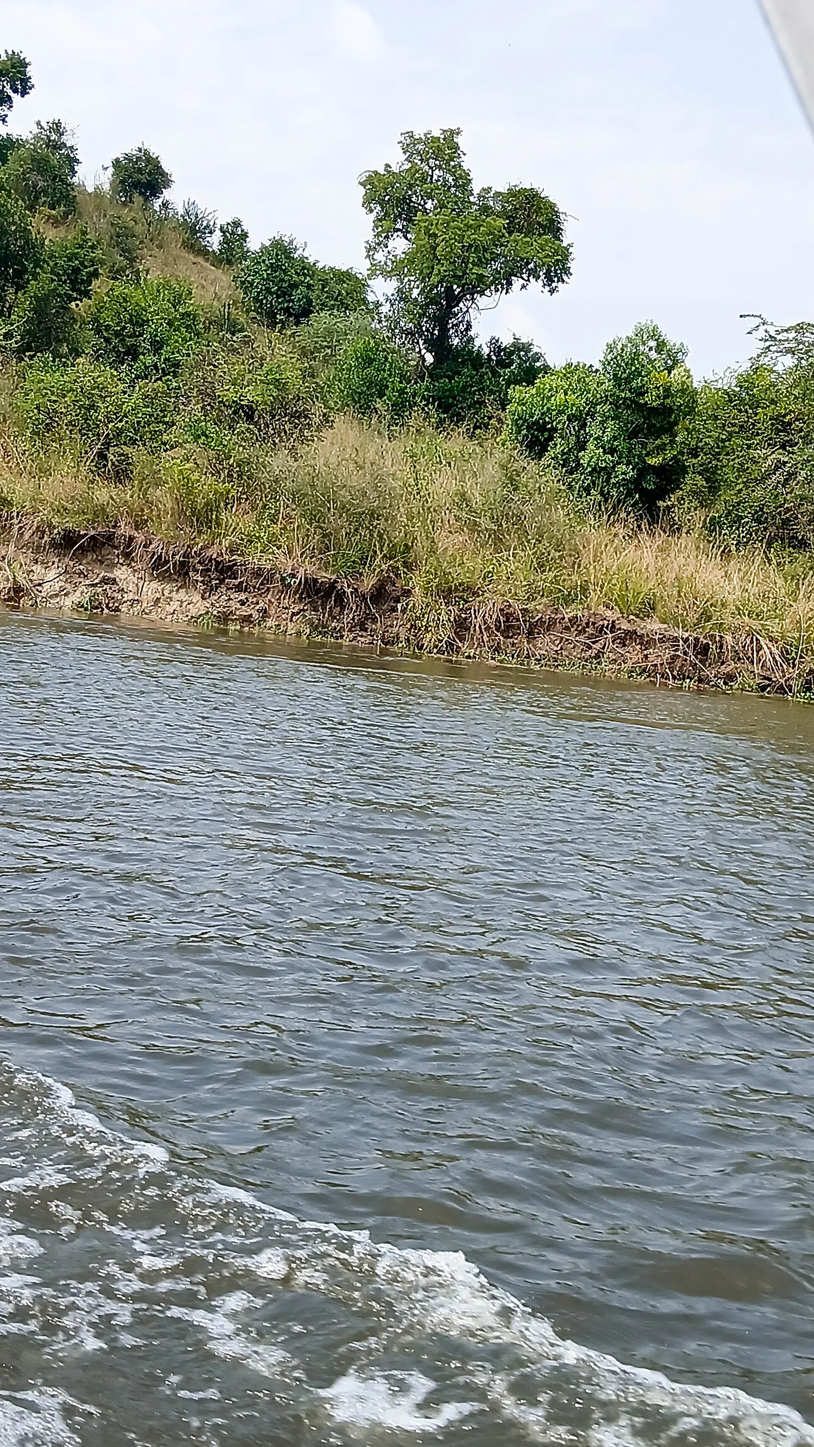 Murchison Falls National Park — photograph 3