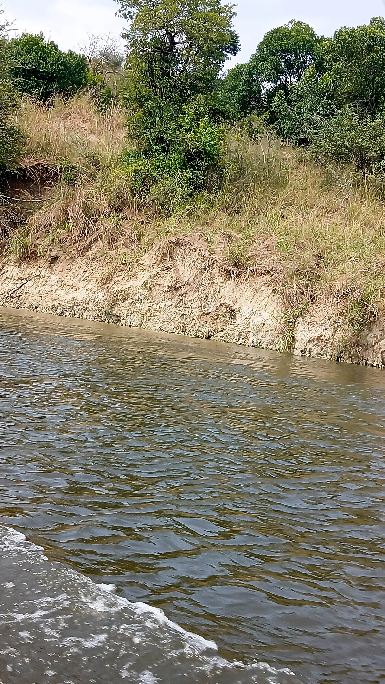 Murchison Falls National Park — photograph 4