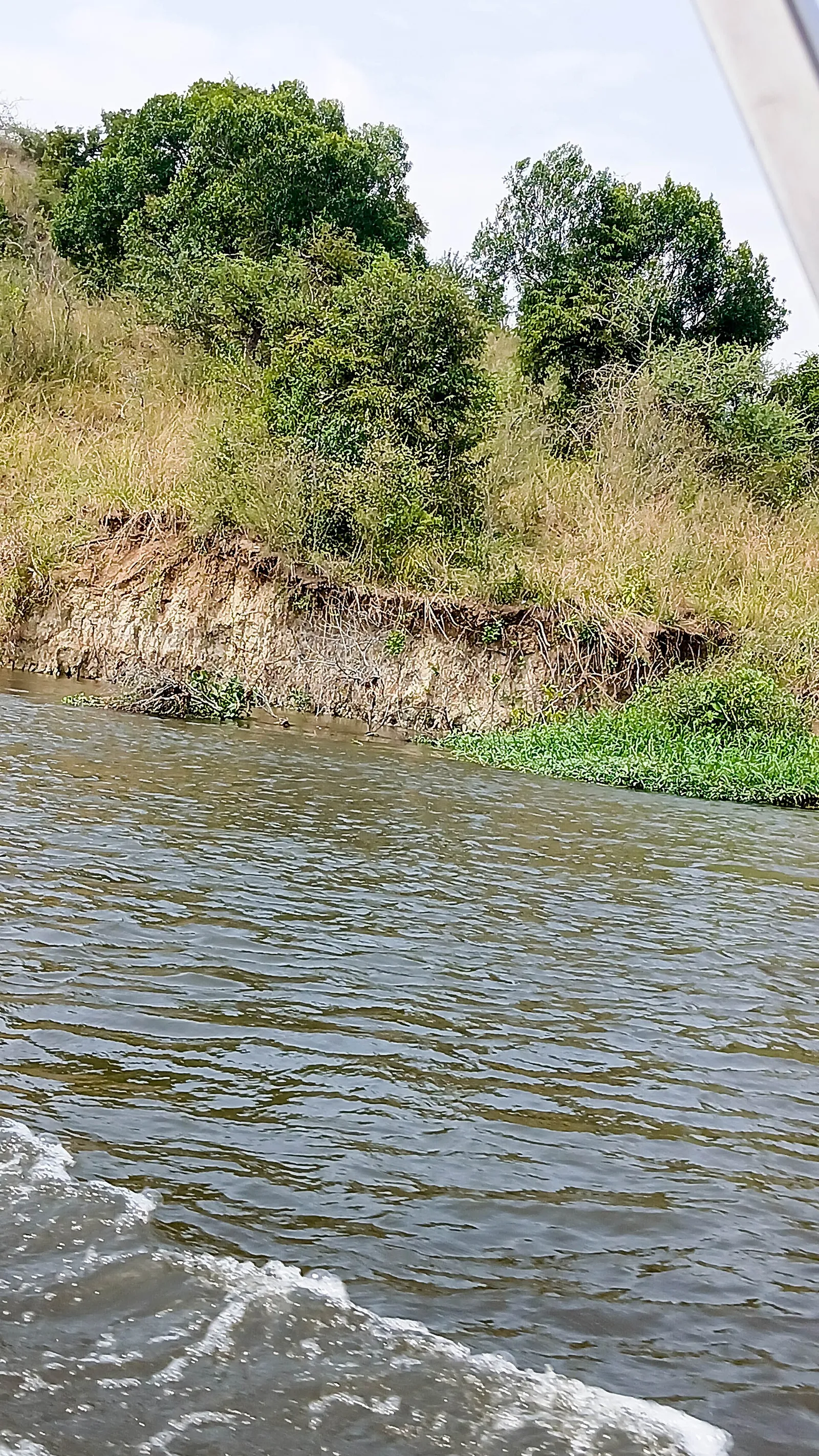 Murchison Falls National Park — photograph 5