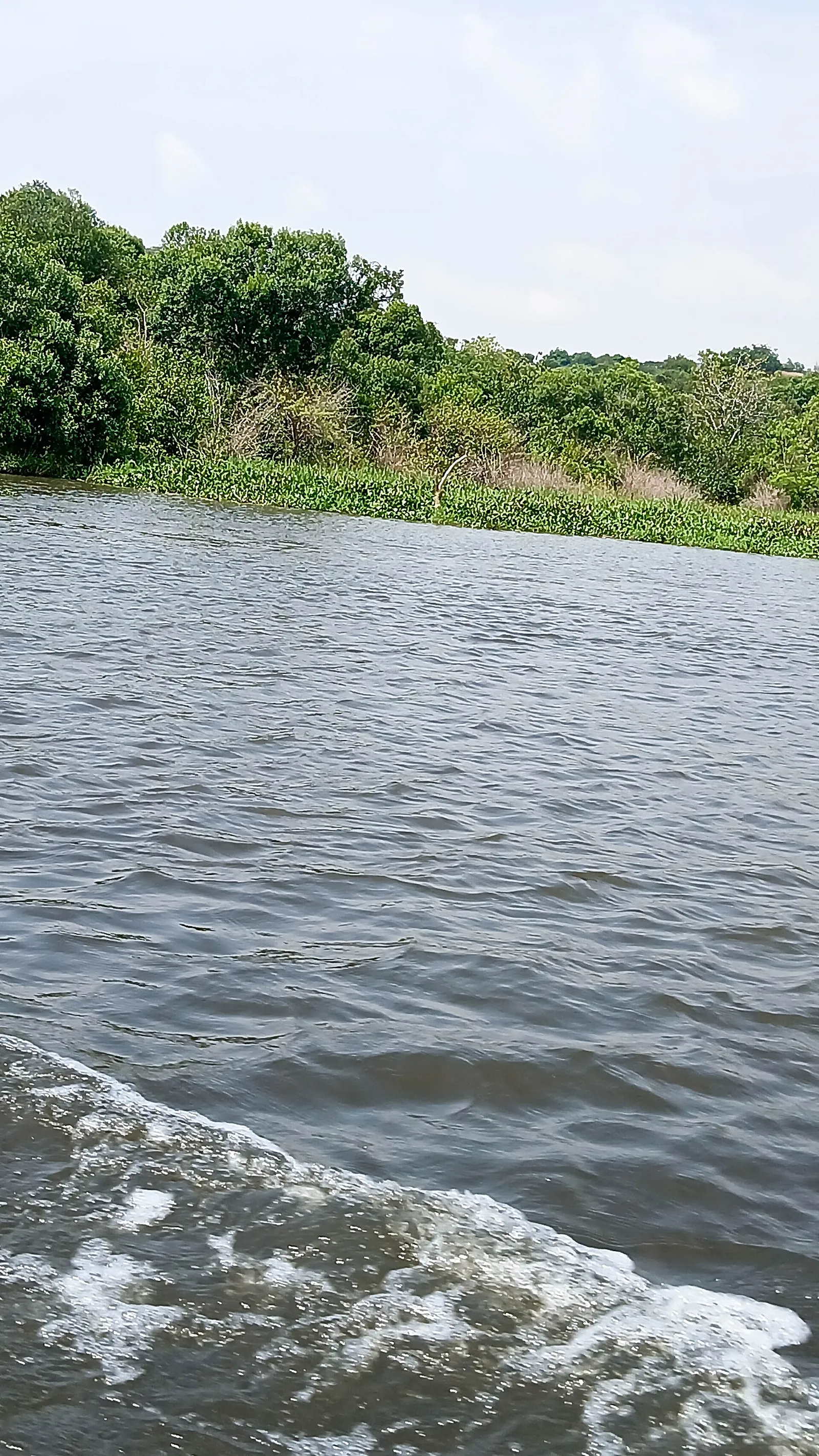 Murchison Falls National Park — photograph 6