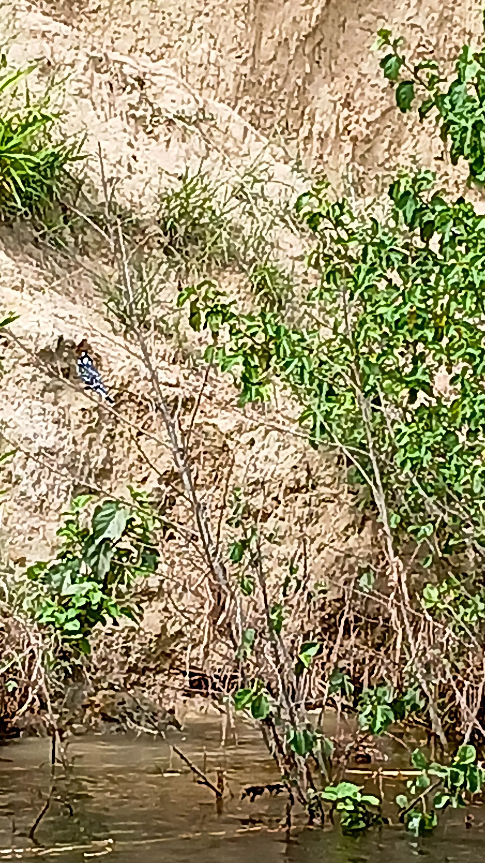 Murchison Falls National Park — photograph 7
