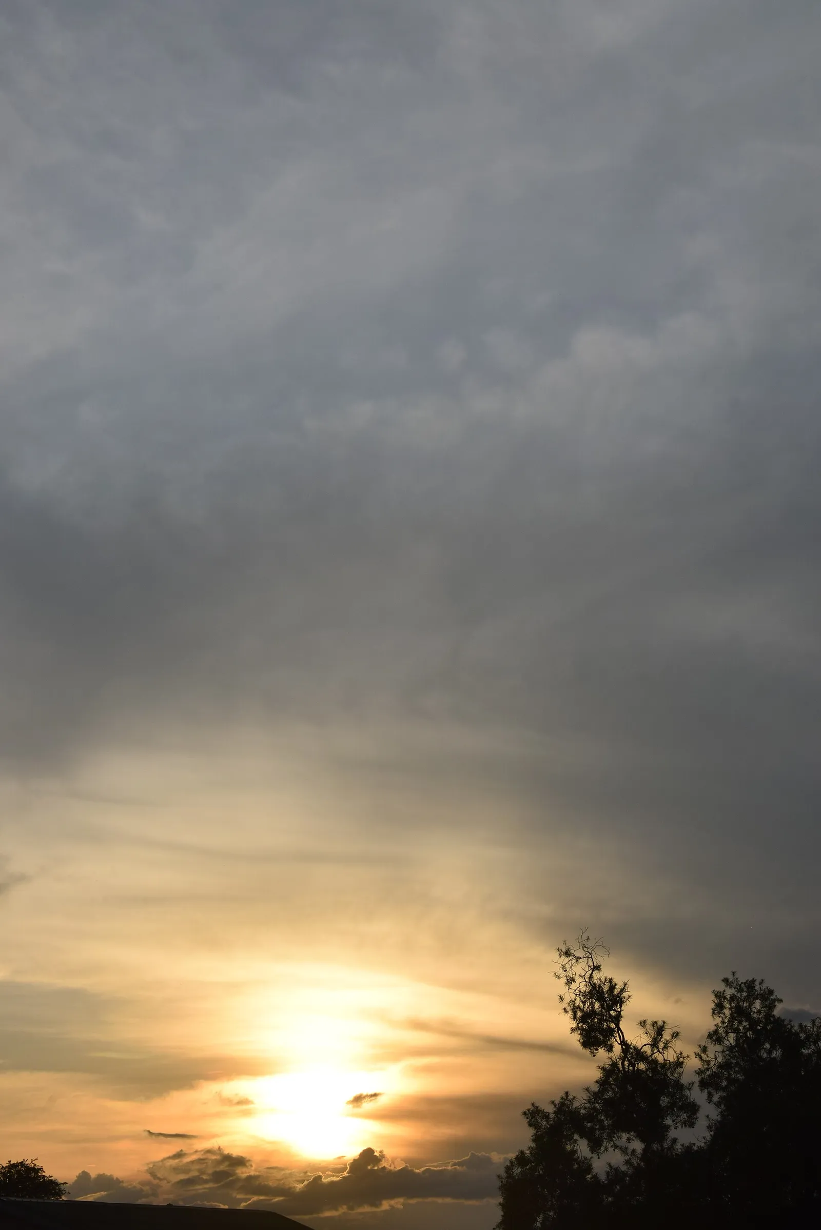 Murchison Falls National Park — photograph 8