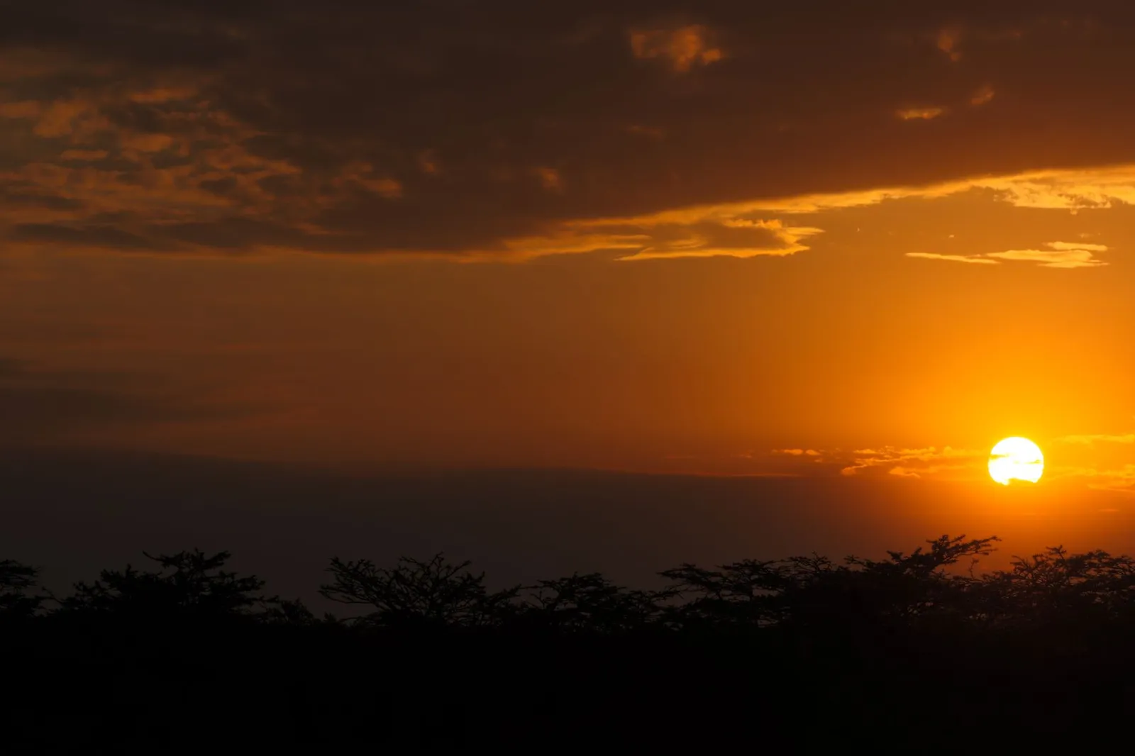 Murchison Falls National Park — photograph 12
