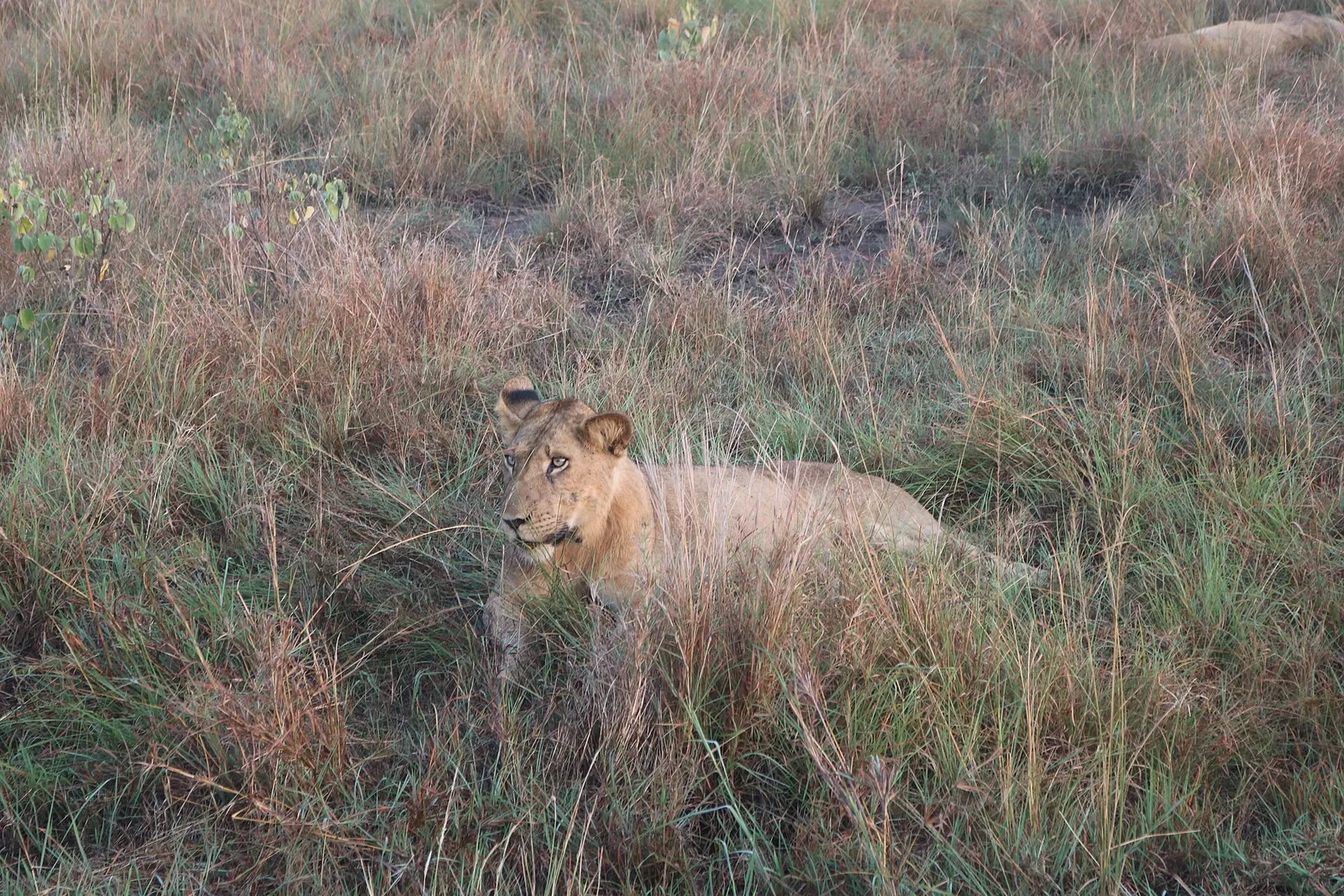 Queen Elizabeth National Park — photograph 4